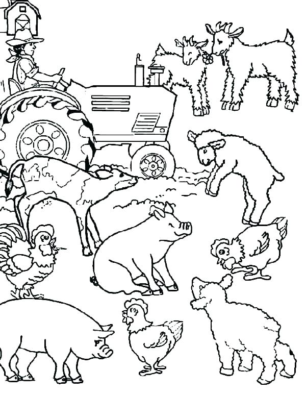 600x776 Baby Farm Animals Colouring Sheets Barnyard Animals Coloring Pages