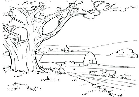 476x333 Farm Coloring Pages Coloring Pages Coloring Trend Medium Size Farm