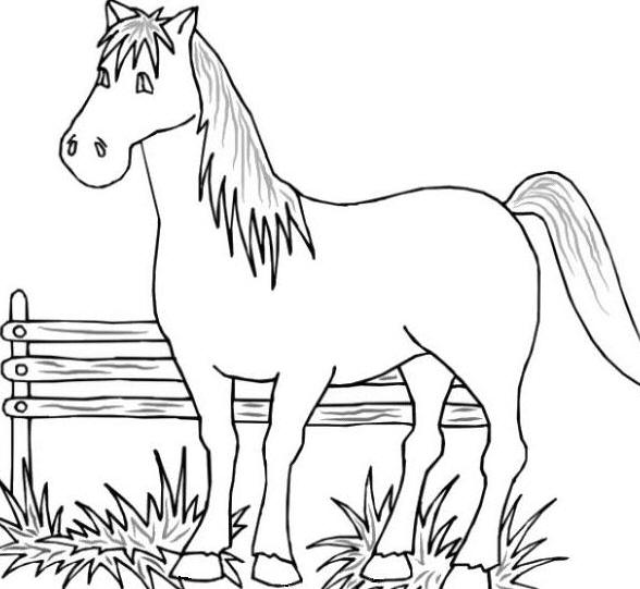 588x541 Free Coloring Pages Farm Animals Printable Farm Animal Coloring