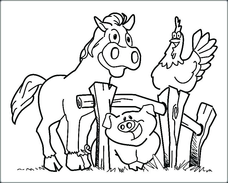 800x642 Coloring Pages Animals Animals Coloring Book In Addition To Farm
