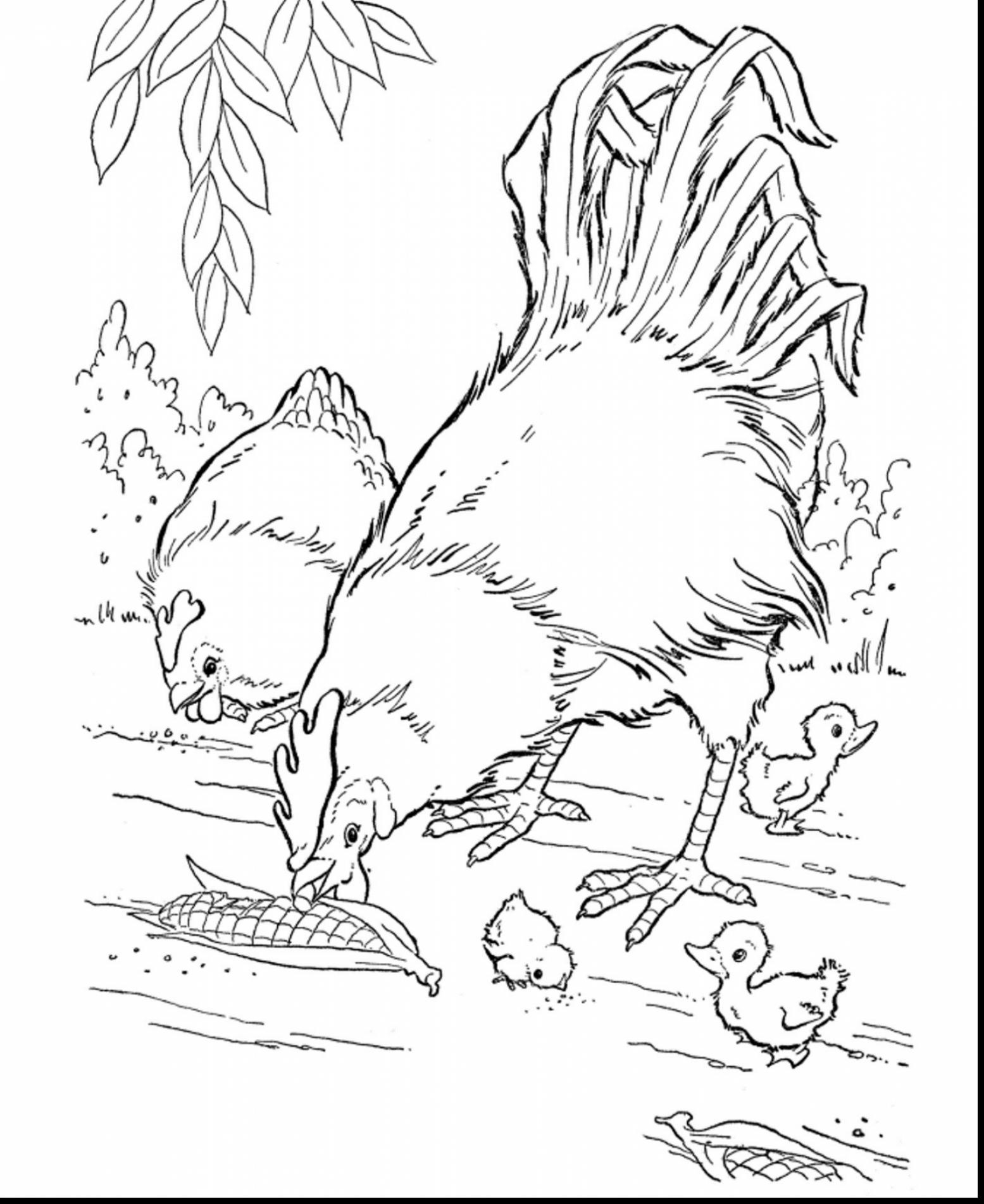 Unique Animal Coloring Pages National Geographic Design 1555x1903 Unique Animal Coloring Pages National Geographic Design