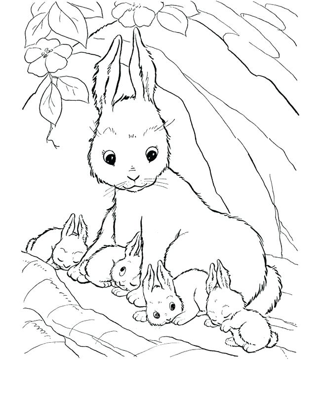 Farm Coloring Pages Rabbit Farm Animal Coloring Page Farm Coloring 650x796 Farm Coloring Pages Rabbit Farm Animal Coloring Page Farm Coloring