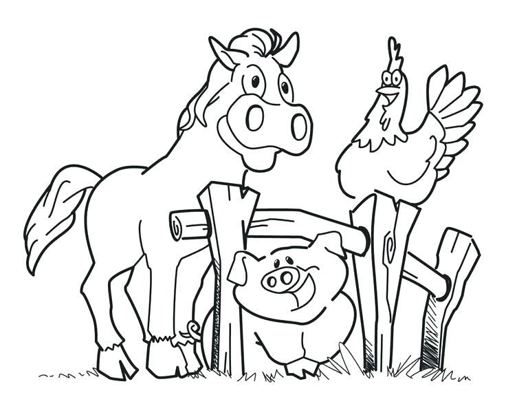 Preschool Animal Coloring Pages Free 736x590 Preschool Animal Coloring Pages Free