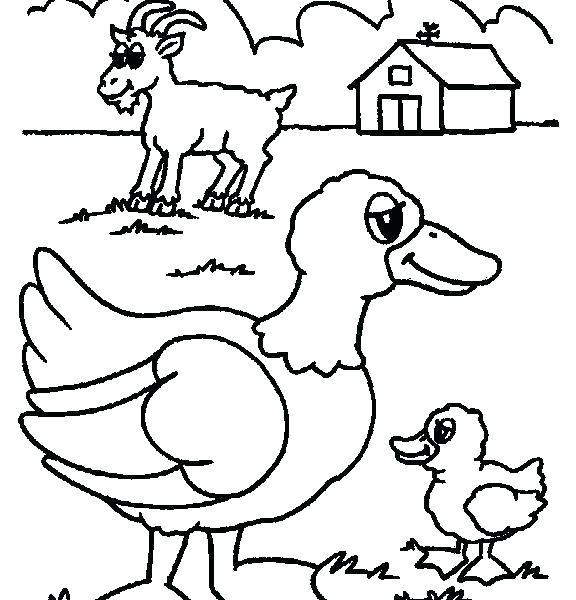 Preschool Farm Animal Coloring Pages Farm Animal Coloring Pages 576x600 Preschool Farm Animal Coloring Pages Farm Animal Coloring Pages