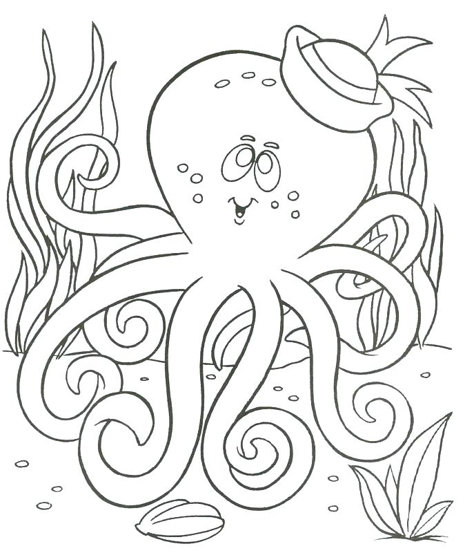687x800 Animal Coloring Page Baby Animals Coloring Pages Preschool Animal