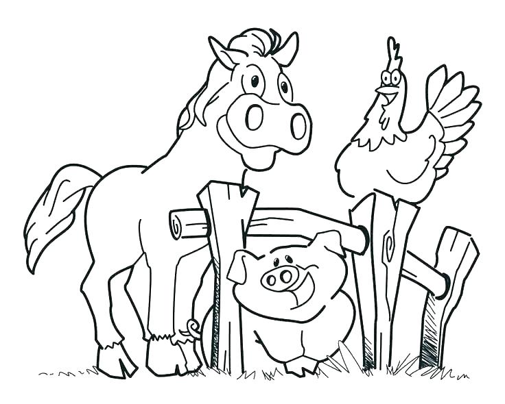 736x590 Animal Farm Coloring Pages Printable Coloring Pages Zoo Animals