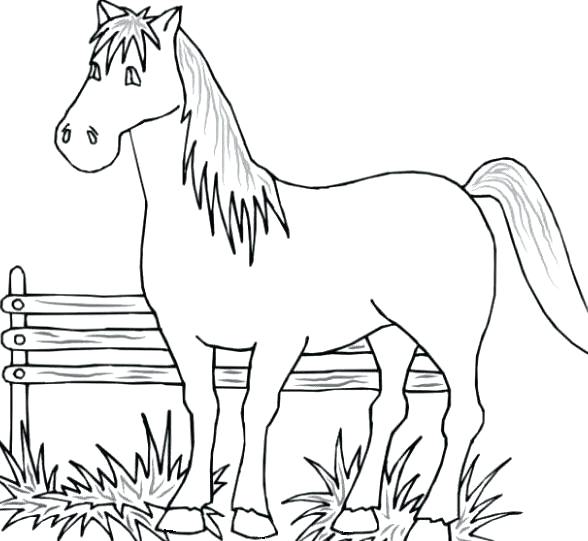 Farm Coloring Pages Printable Camping Camargue 588x541 Farm Coloring Pages Printable Camping Camargue