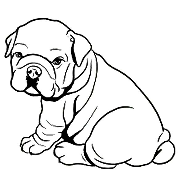 Fat Bulldog Like Towel Coloring Pages Dog Coloring Pages 600x600 Fat Bulldog Like Towel Coloring Pages Dog Coloring Pages