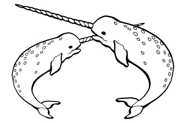 Narwhal Coloring Pages Narwhal Coloring Page Beautiful Narwhal 600x400 Narwhal Coloring Pages Narwhal Coloring Page Beautiful Narwhal