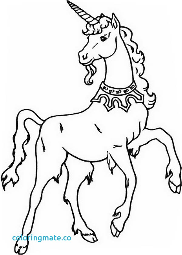 Free Unicorn Coloring Pages Fresh Fat Unicorn Coloring Pages 600x840 Free Unicorn Coloring Pages Fresh Fat Unicorn Coloring Pages