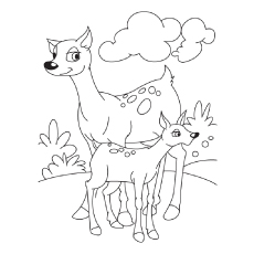 Top 20 Deer Coloring Pages For Your Little Ones 230x230 Top 20 Deer Coloring Pages For Your Little Ones