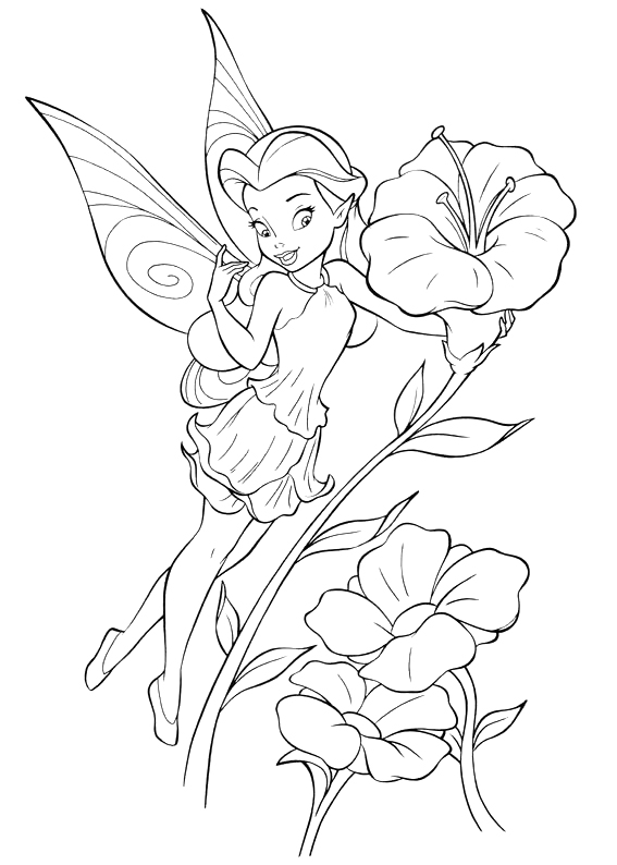 Exquisite Disney Fairy Coloring Pages Printable In Amusing Insider 567x794 Exquisite Disney Fairy Coloring Pages Printable In Amusing Insider