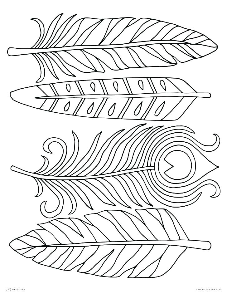 Peacock Feather Coloring Page Coloring Pages Peacock Peacock 728x942 Peacock Feather Coloring Page Coloring Pages Peacock Peacock