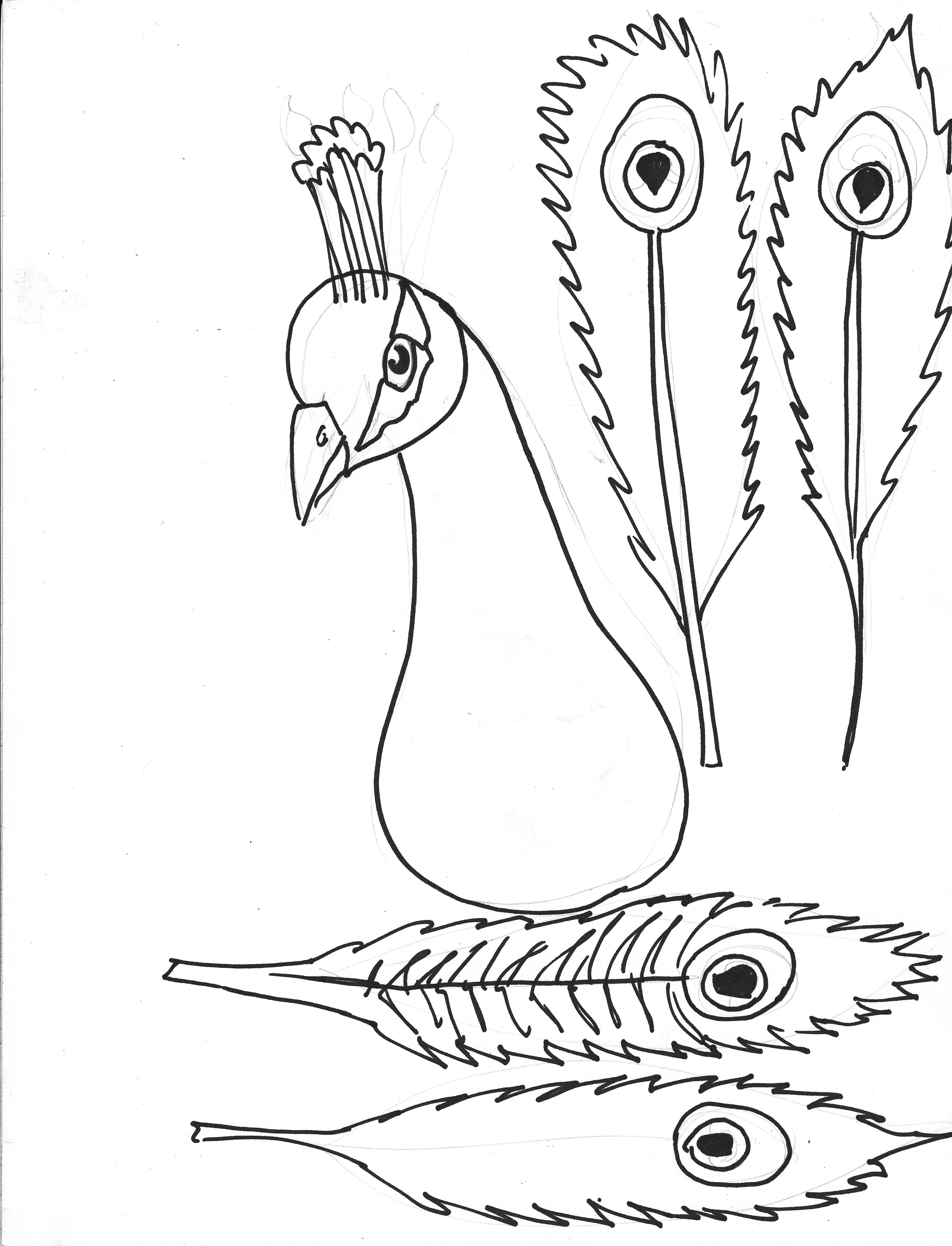 Turkey Feathers Coloring Pages 2512x3288 Turkey Feathers Coloring Pages