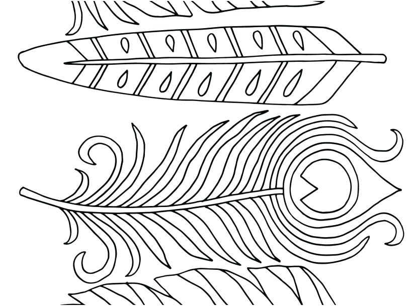 Coloring Pages Of Feathers 827x609 Coloring Pages Of Feathers