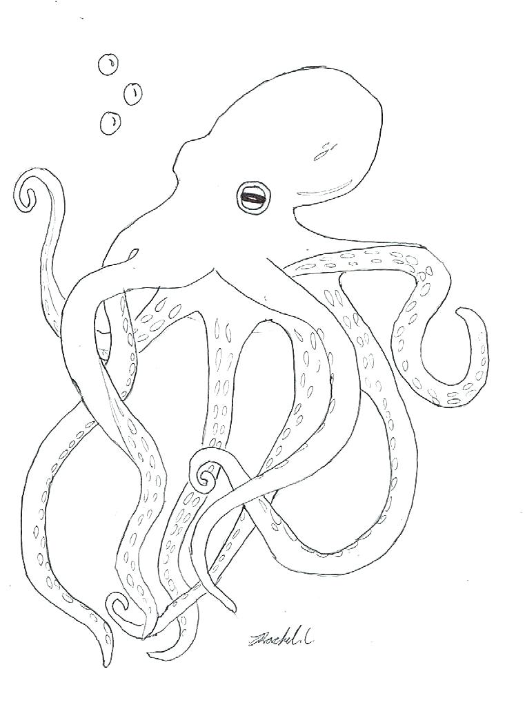 Printable Octopus Book Free Printable Octopus Coloring Pages 761x1021 Printable Octopus Book Free Printable Octopus Coloring Pages