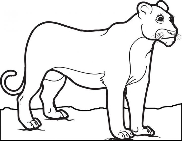 Female Lion Coloring Pages