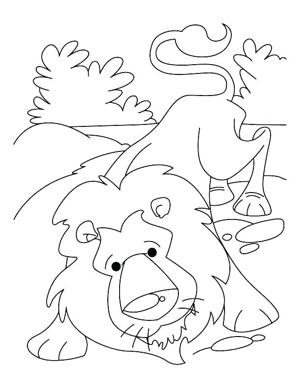 612x792 Lion Face Coloring Page Images About Coloring Pages On Coloring