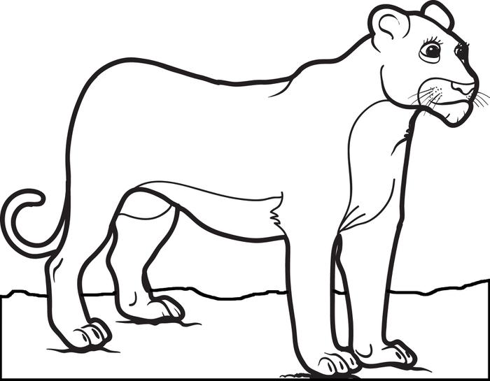 700x545 Best Female Lion Coloring Pages Free 3301 Printable
