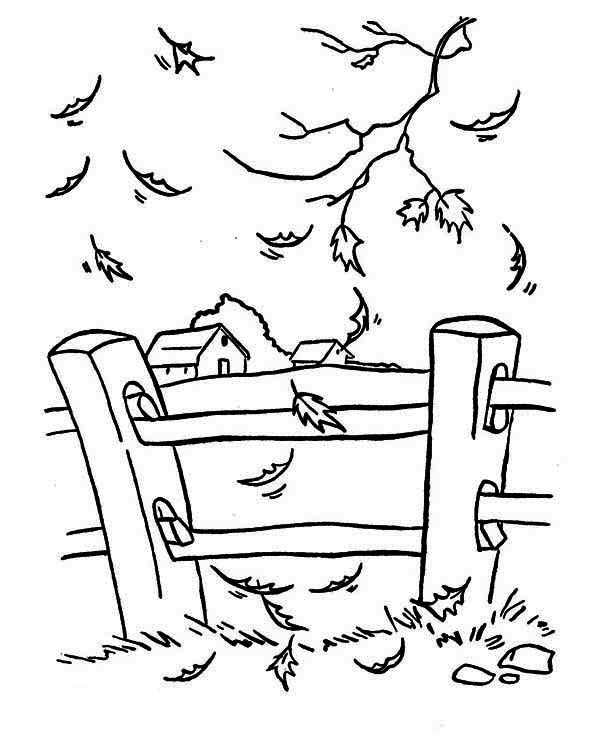 600x734 Autumn Leaf Near Yard Fence Coloring Page