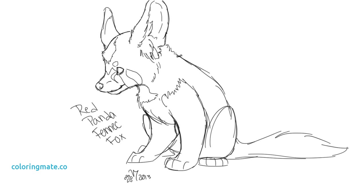 Fennec Fox Coloring Page