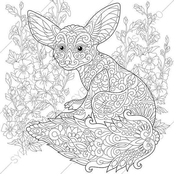 Fennec Fox. Mallow Flowers. Coloring Pages. Animal Coloring Book 570x570 Fennec Fox. Mallow Flowers. Coloring Pages. Animal Coloring Book