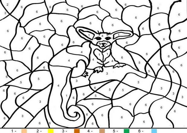 Fennec Fox Coloring Pages 620x443 Fennec Fox Coloring Pages