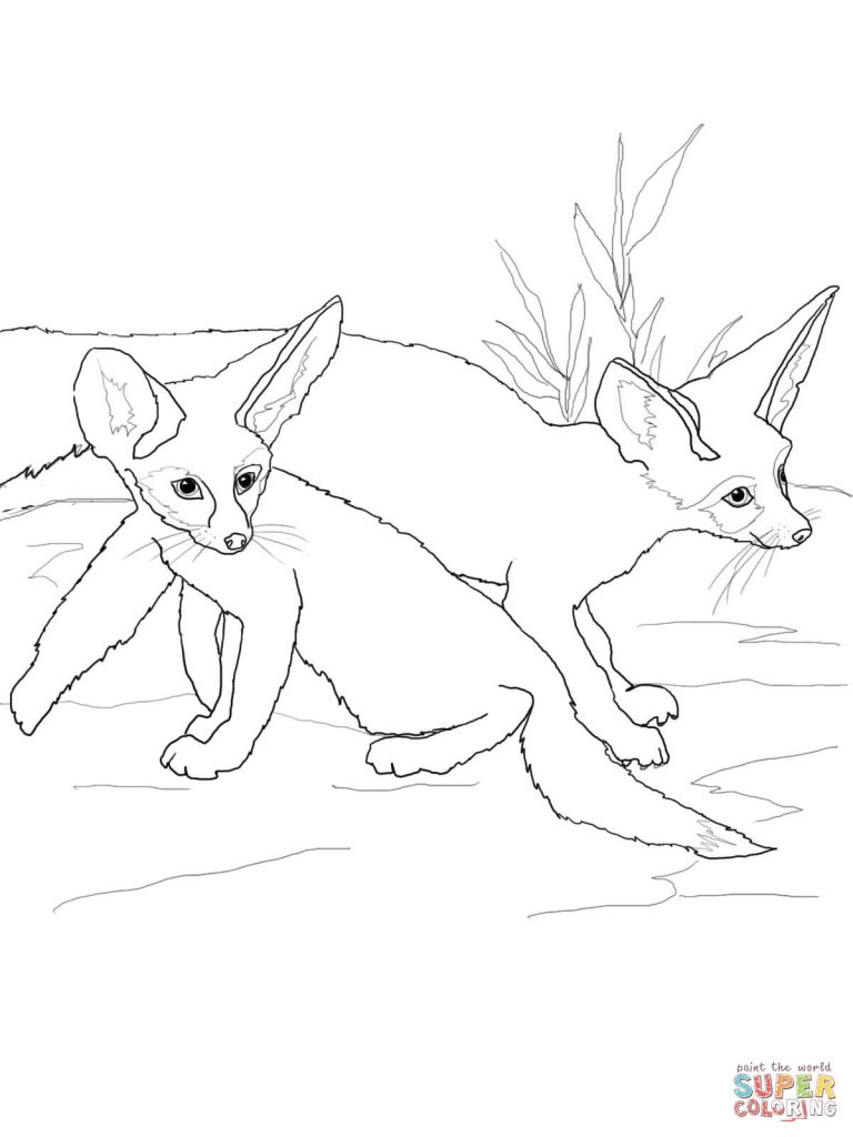 Greatest Fennec Fox Coloring Page Babies 768x1024 Greatest Fennec Fox Coloring Page Babies