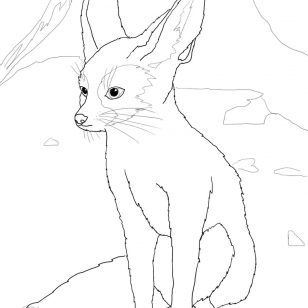 Simple Fennec Fox Coloring Pages 308x308 Simple Fennec Fox Coloring Pages