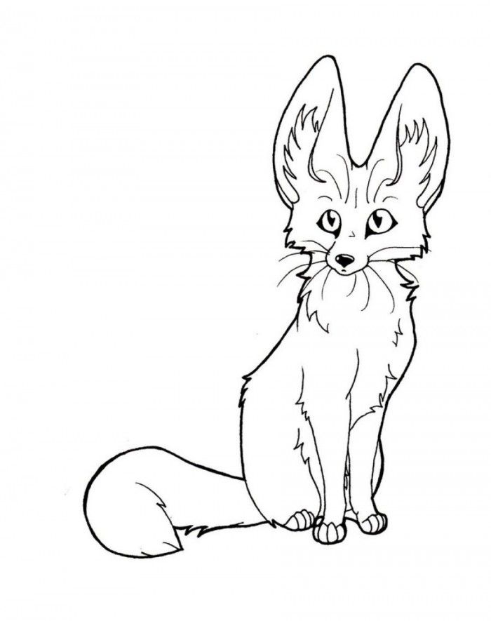 Fennec Fox Coloring Page Fennec Fox Coloring Pages Coloring Home 700x885 Fennec Fox Coloring Page Fennec Fox Coloring Pages Coloring Home