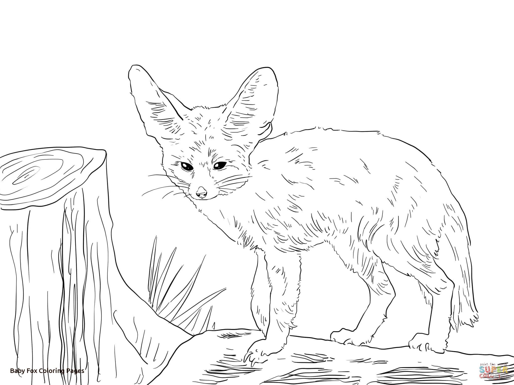 Baby Fox Coloring Pages 2048x1536 Baby Fox Coloring Pages