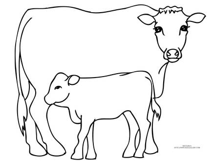 440x330 Bull Printable Coloring Pages, Bull Coloring Page