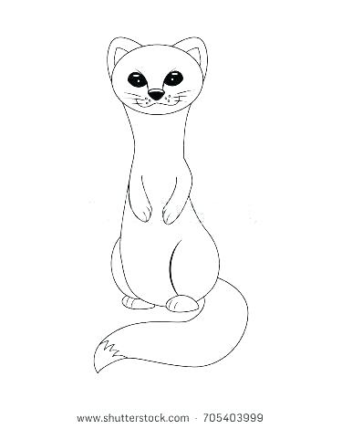 375x470 Ferret Coloring Pages Arctic Coloring Pages Funny Animal Coloring