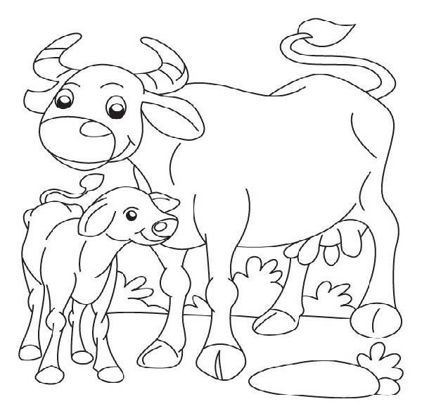 600x574 7 Best Ffa Cooloring Page Images On Coloring Books