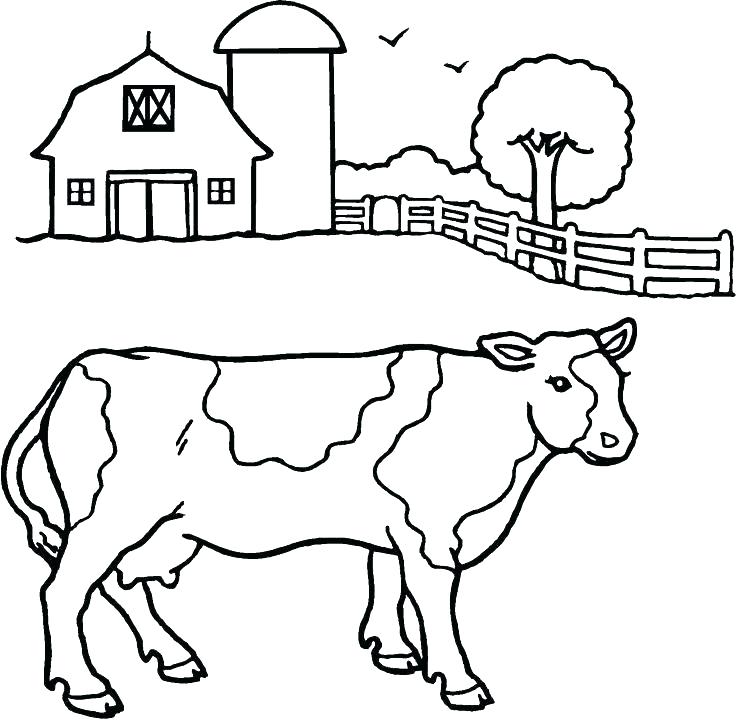 736x720 Ffa Coloring Pages