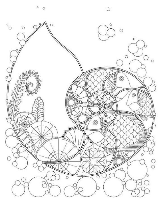 Fantasy Nautilus Shell With Ocean Plants Amp Fish, Coloring Page 564x705 Fantasy Nautilus Shell With Ocean Plants Amp Fish, Coloring Page