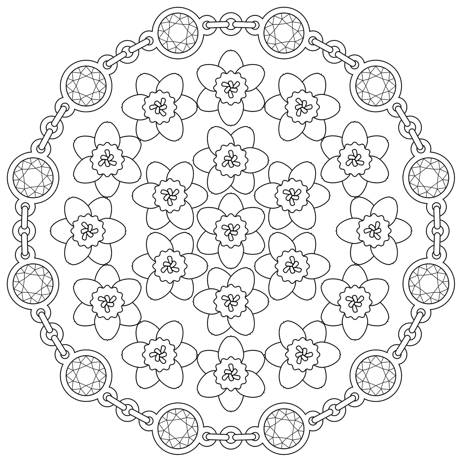 Pin By Klaudia Veltheim On Fractals Phyllotaxis Fibonacci Et Al 1600x1600 Pin By Klaudia Veltheim On Fractals Phyllotaxis Fibonacci Et Al