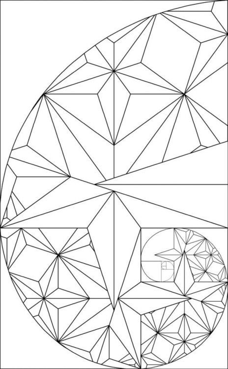 Fibonacci Sequence Tumblr Crafts Ideas Fibonacci Sequences 464x750 Fibonacci Sequence Tumblr Crafts Ideas Fibonacci Sequences