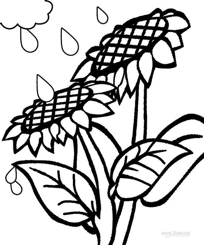708x850 Printable Sunflower Coloring Pages For Kids Cool2bkids Plant