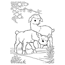 230x230 Top 25 Free Printable Goat Coloring Pages Online