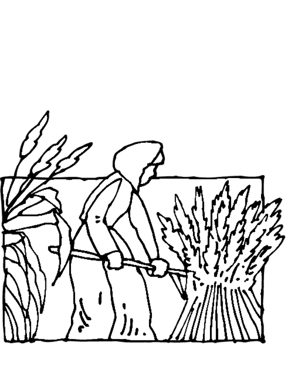 576x756 Coloring Pages Of Fields Field Coloring Pages