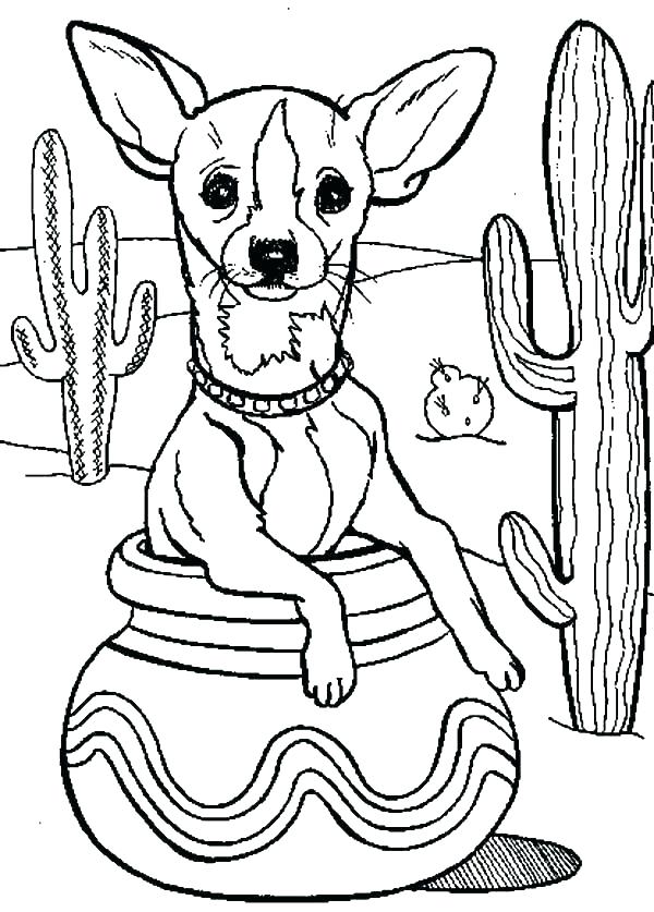 600x837 Fiesta Coloring Pages New Chihuahua Coloring Pages Best Of Cactus