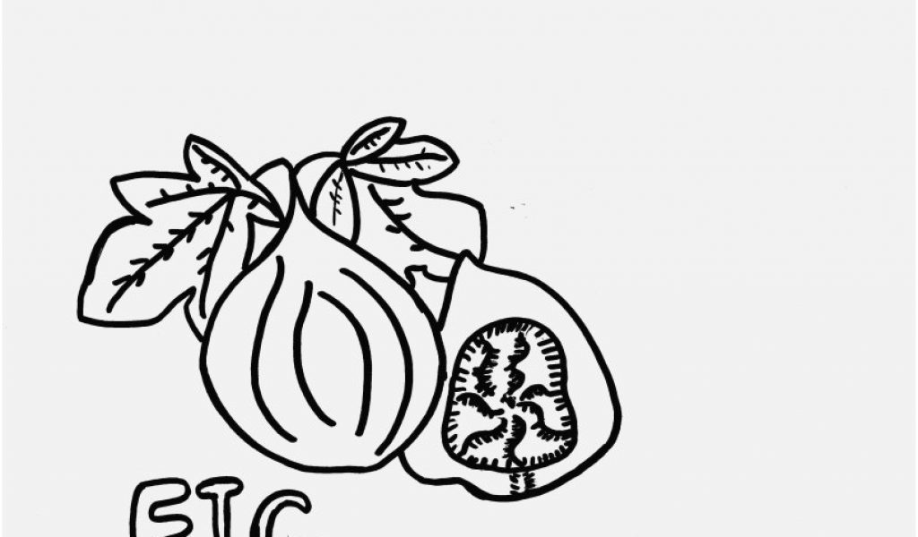 Denver Broncos Coloring Pages Photographs Awesome Fig Coloring 1024x600 Denver Broncos Coloring Pages Photographs Awesome Fig Coloring