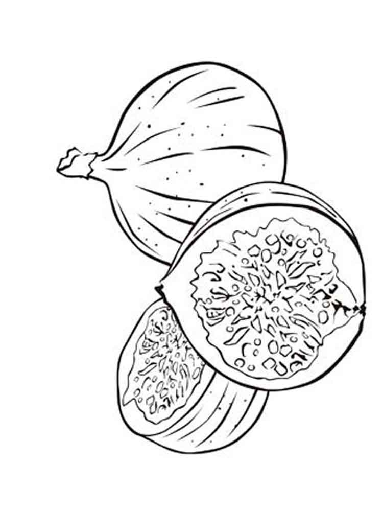 Figs Coloring Pages. Download And Print Figs Coloring Pages. 750x1000 Figs Coloring Pages. Download And Print Figs Coloring Pages.