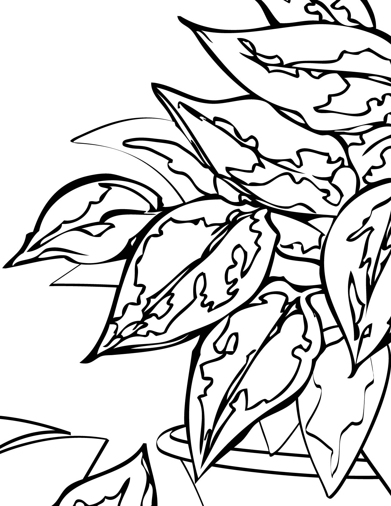 Weeping Fig Coloring Page 1275x1650 Weeping Fig Coloring Page