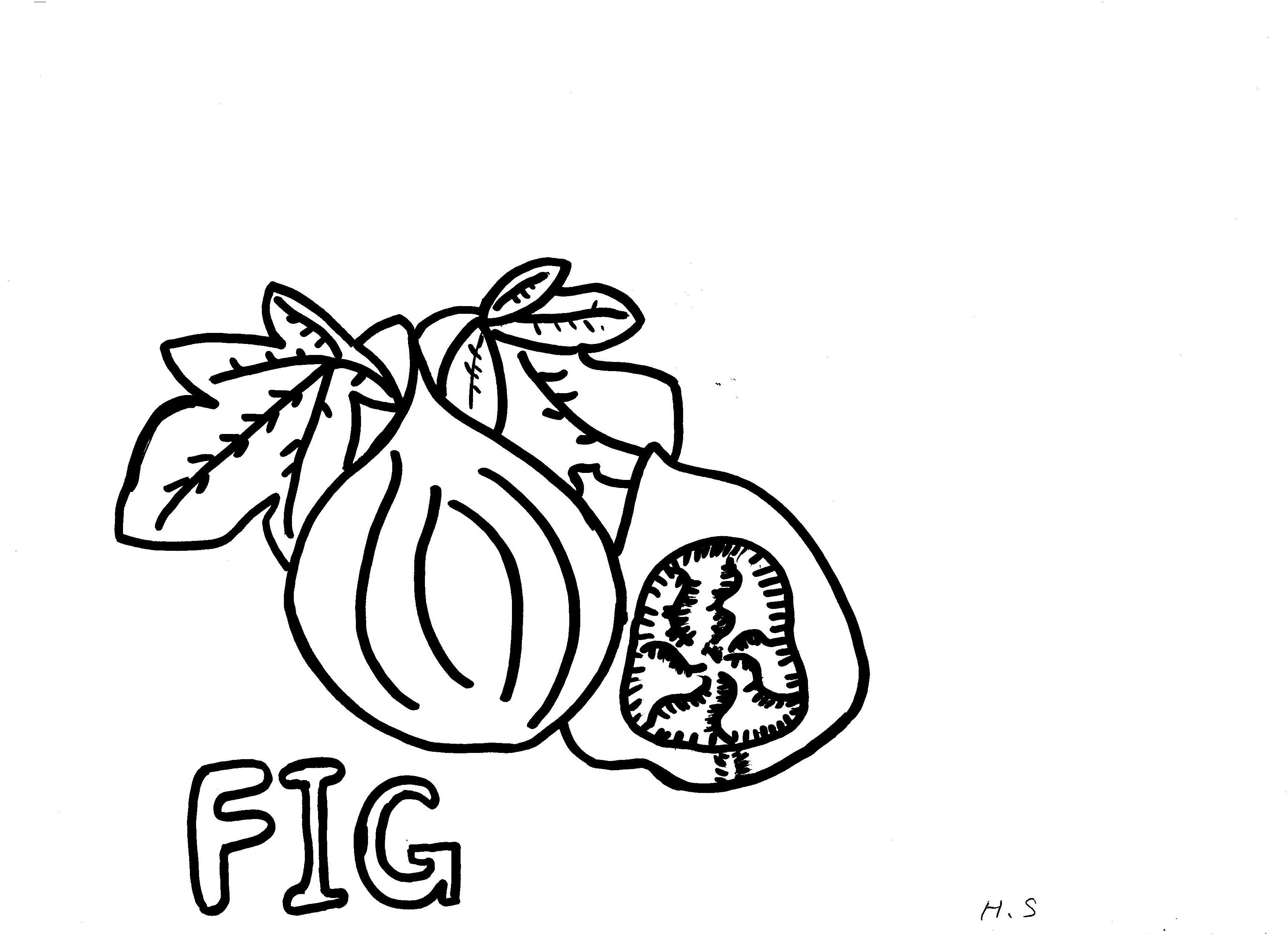 Awesome Fig Coloring Pages For Kids Book Club Crafts 3507x2550 Awesome Fig Coloring Pages For Kids Book Club Crafts