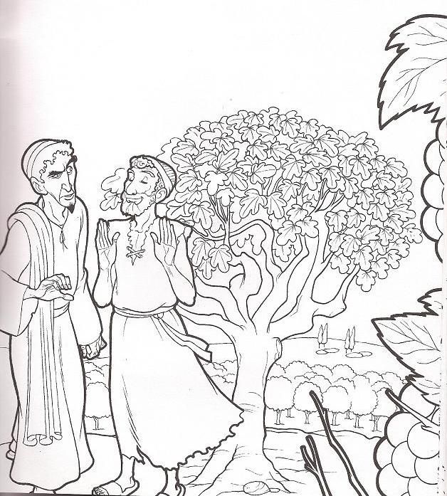 Coloring Page Parable Of The Fig Tree Fig Tree 628x697 Coloring Page Parable Of The Fig Tree Fig Tree