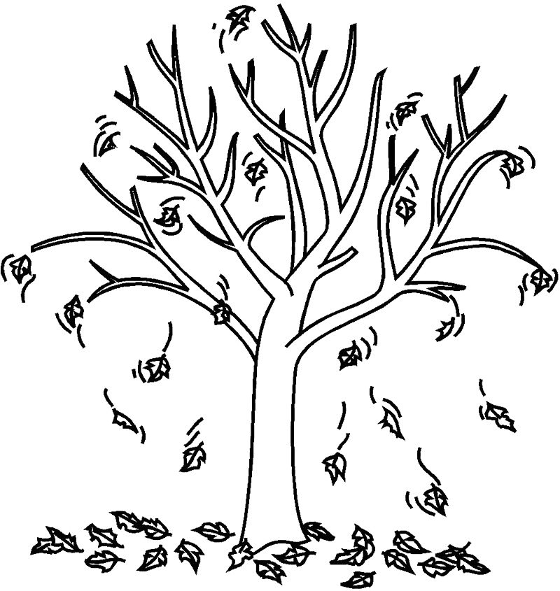 800x845 Seasons Tree Coloring Page