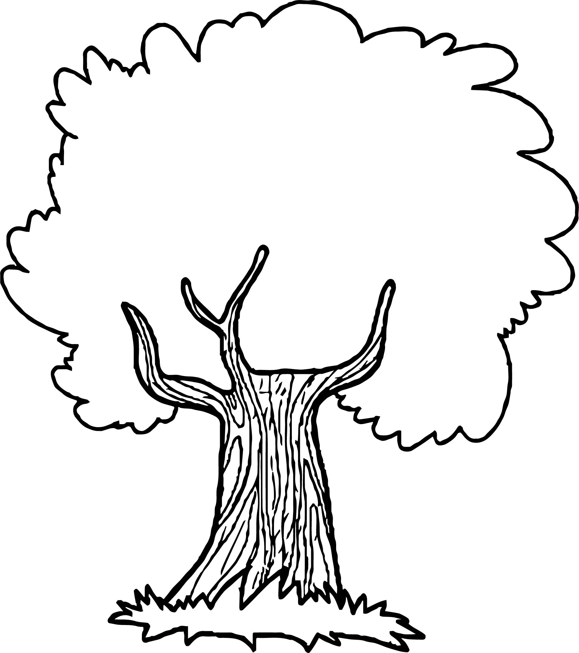 Fig Tree Coloring Page at GetColorings.com | Free printable colorings ...