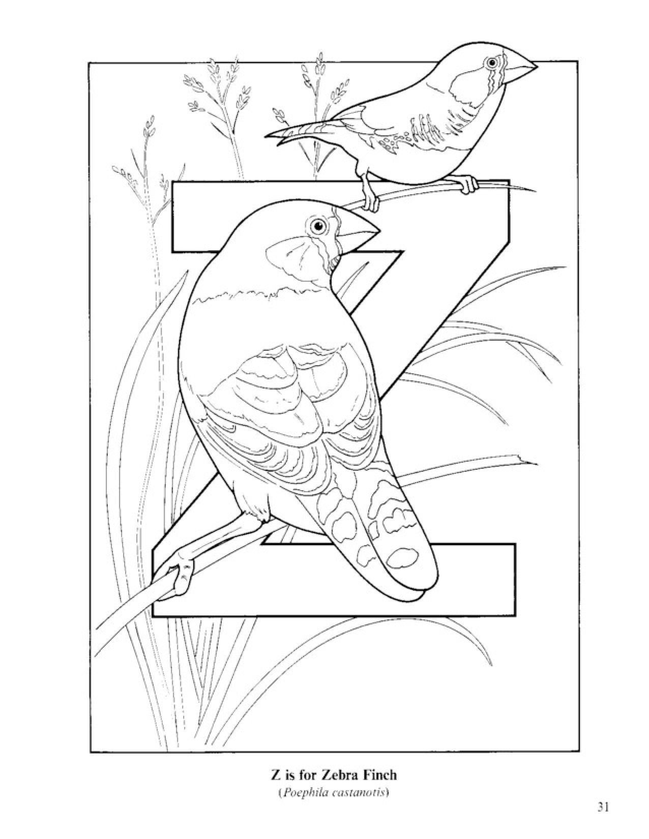 1276x1650 Bird Alphabet Coloring Pages Printable Download For Kids (28